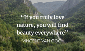 Discover 130 Romantic Love Quotes to Send Your Special Someone.