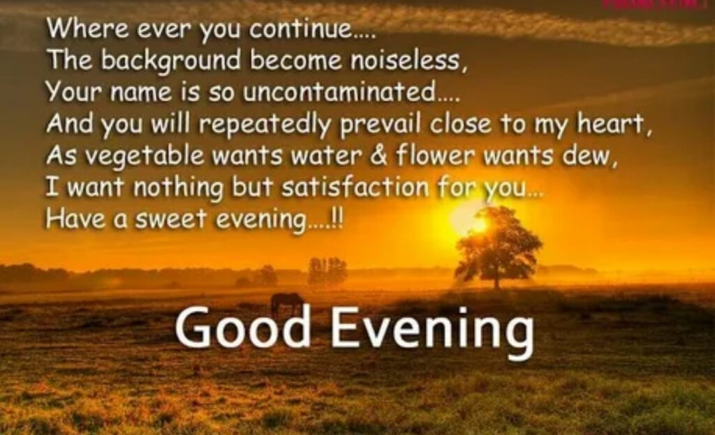 100+ Good Evening Blessings and Prayers to End Your Day with Peace