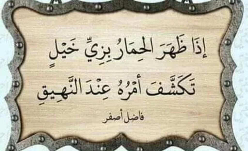 25+ Beautiful Islamic Engagement Quotes from the Quran for Couples