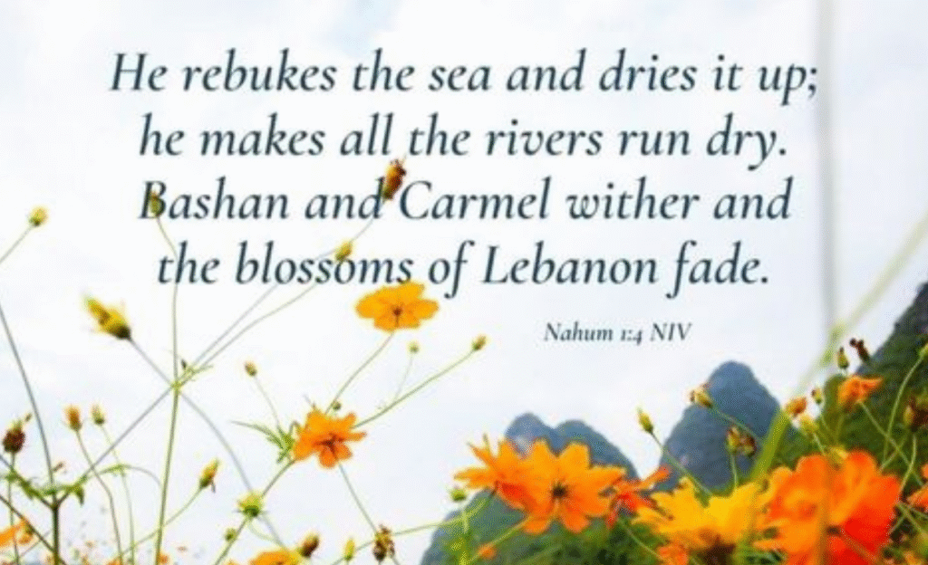 12+Bible Verses About Flowers Showing God’s Beauty Through Nature