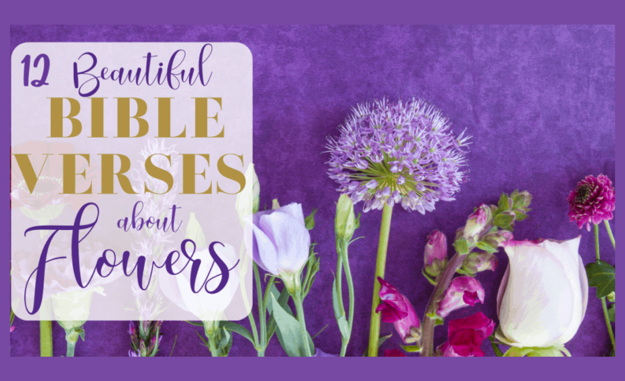 12+Bible Verses About Flowers Showing God’s Beauty Through Nature