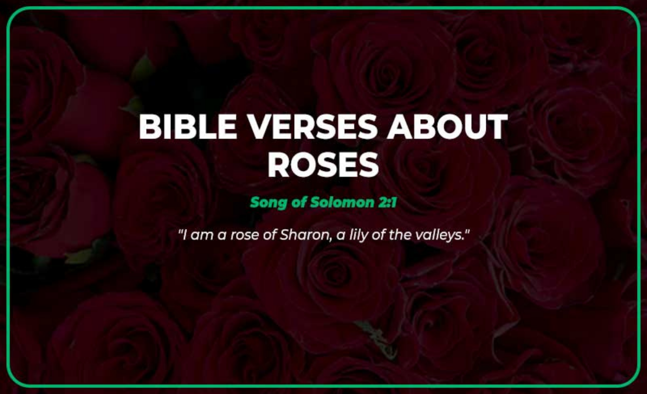 50+Bible Verses About Roses