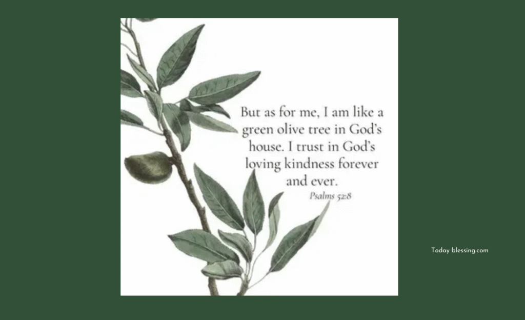 Green in the Bible: Understanding Its Spiritual Symbolism of Life