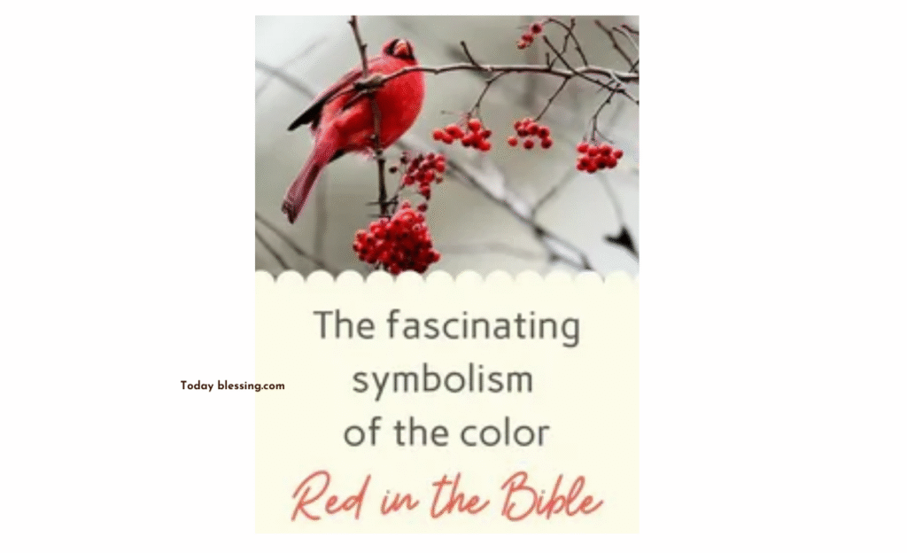 Red in the Bible: The Powerful Spiritual Meaning Behind Blood and Sacrifice
